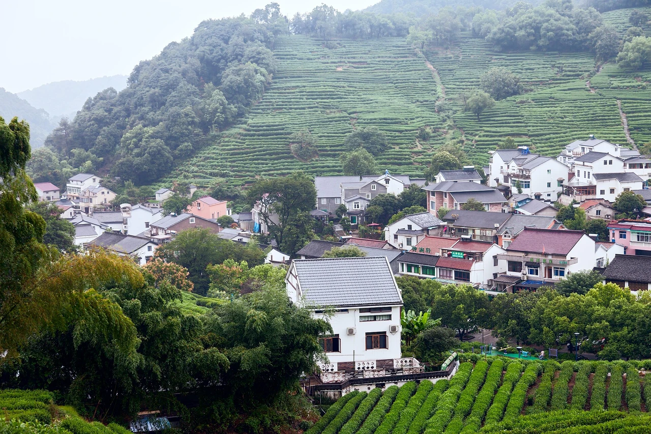 Longjing tea village · 龙井村