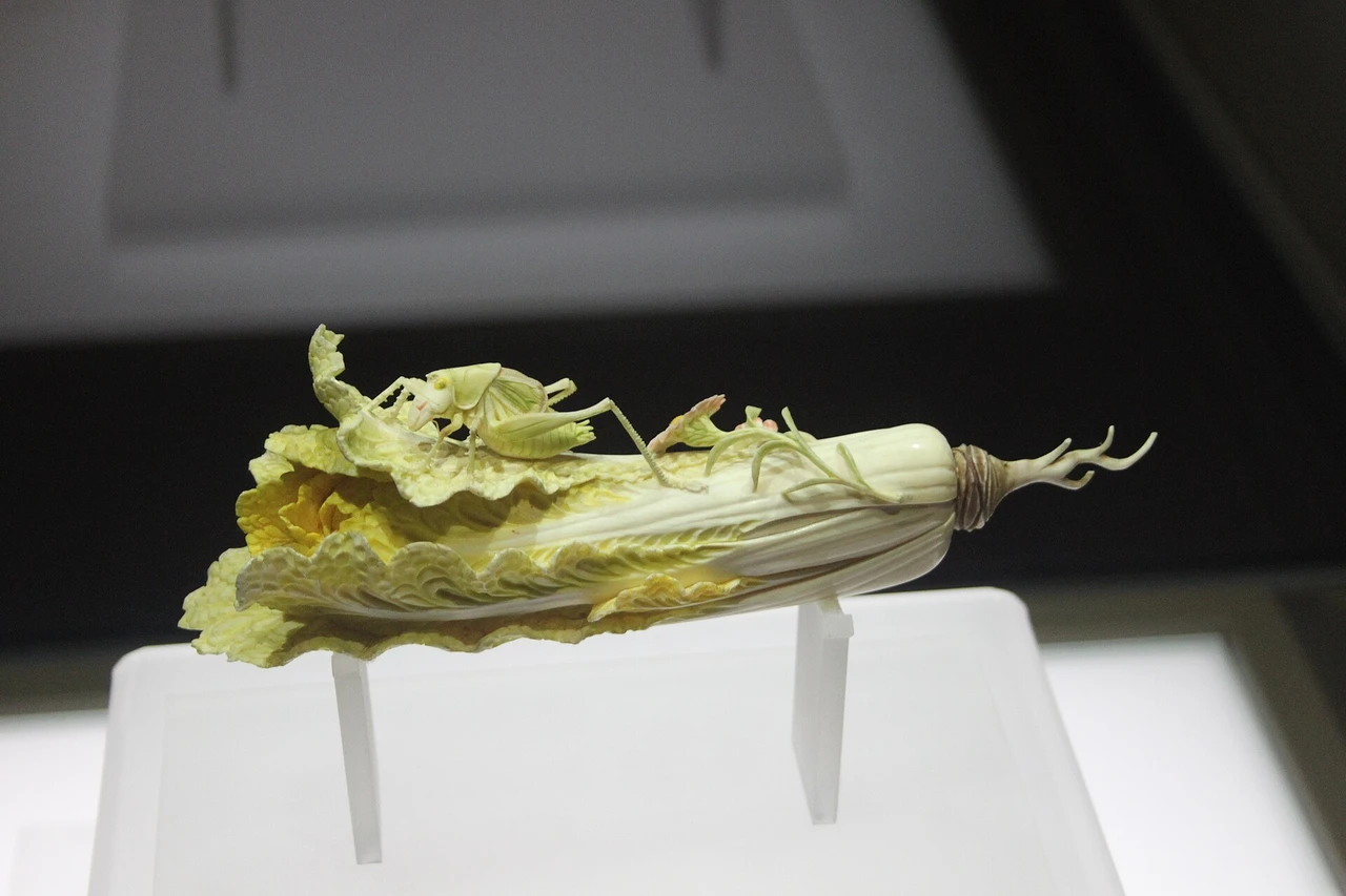 Henan Museum · 河南博物院