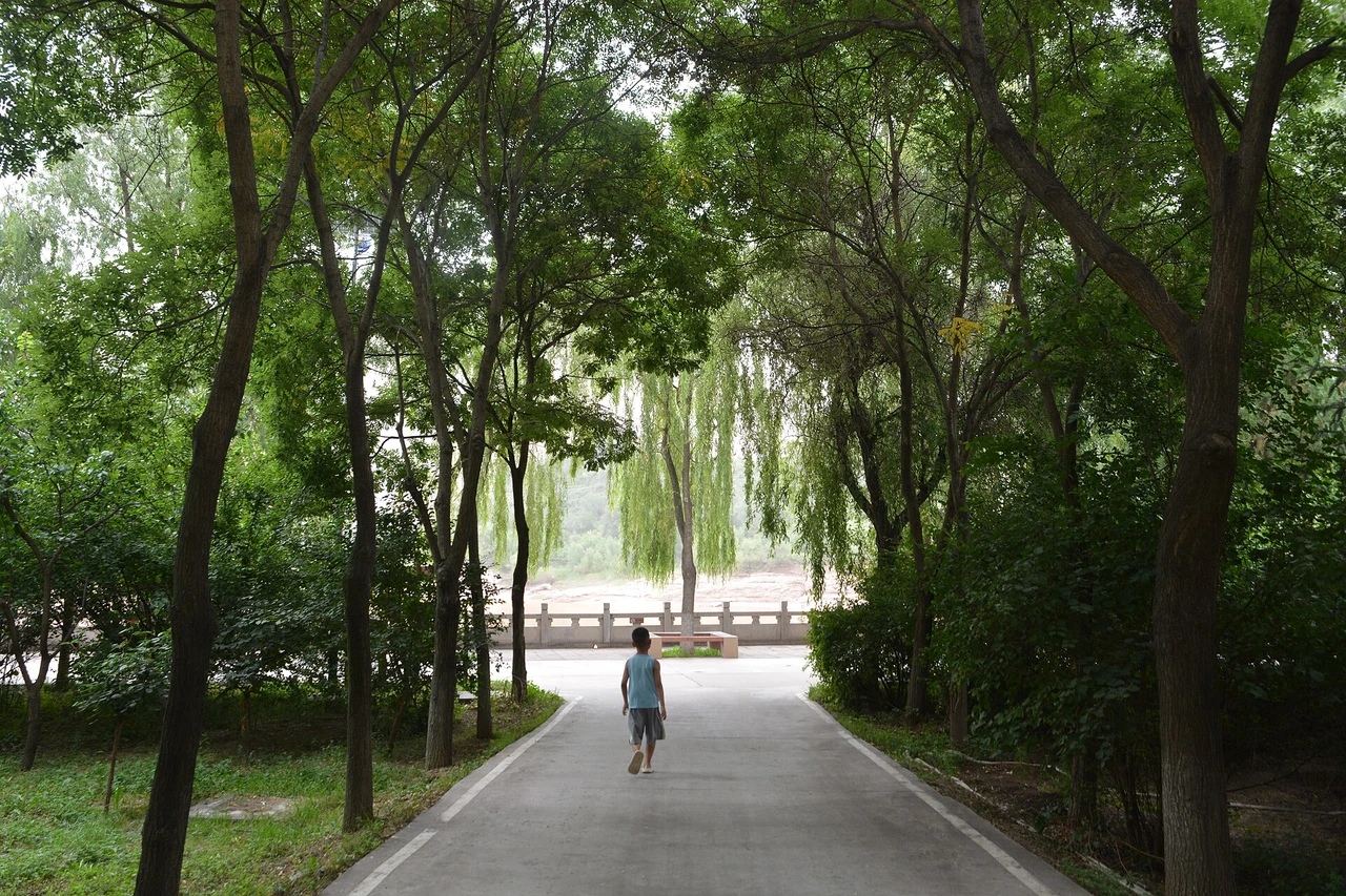 Bingling Temple Grottoes · 炳灵寺石窟