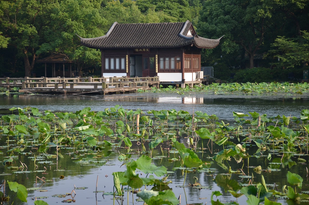 Xixi Wetland · 西溪湿地