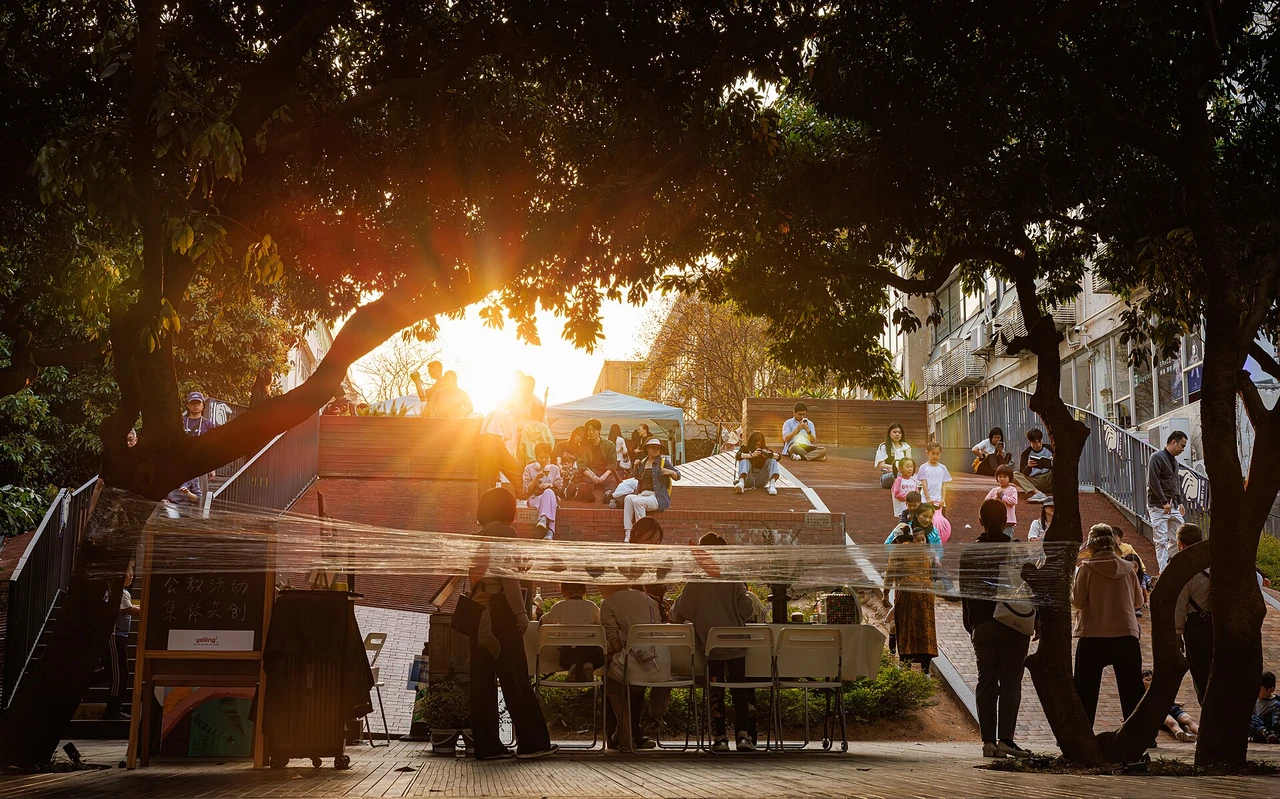 Late afternoon on the terraces
