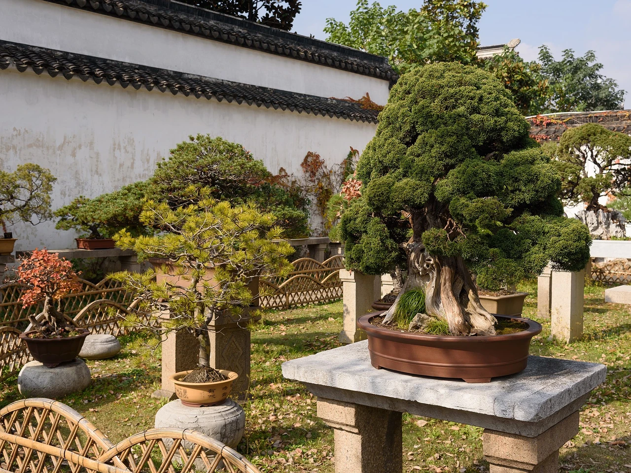 Humble Administrator's Garden · 拙政园