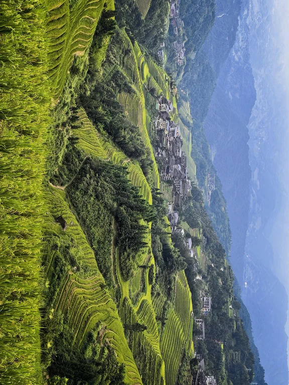 龙脊梯田