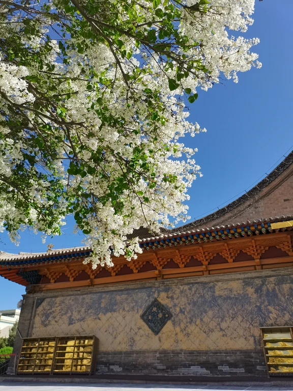 西宁东关清真大寺