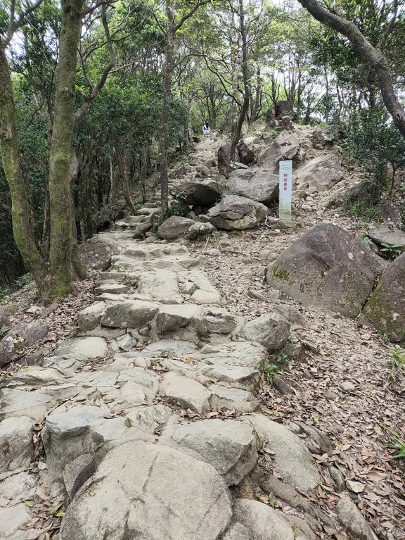 梧桐山