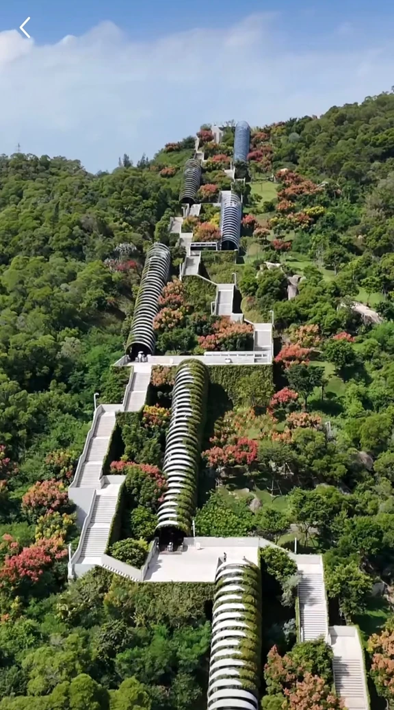 Jardin botanique de Xiamen
