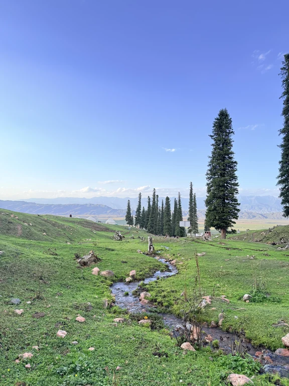 Prateria di Nalati