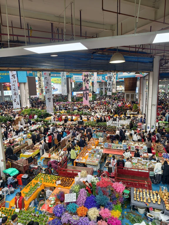 Mercato dei fiori di Dounan
