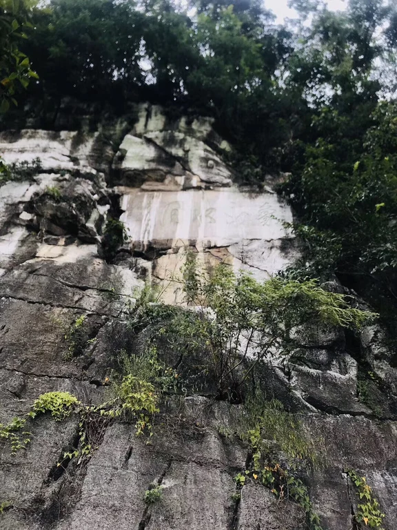 Collina della Proboscide d’Elefante