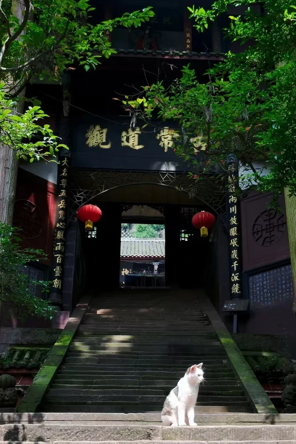 Mont Qingcheng