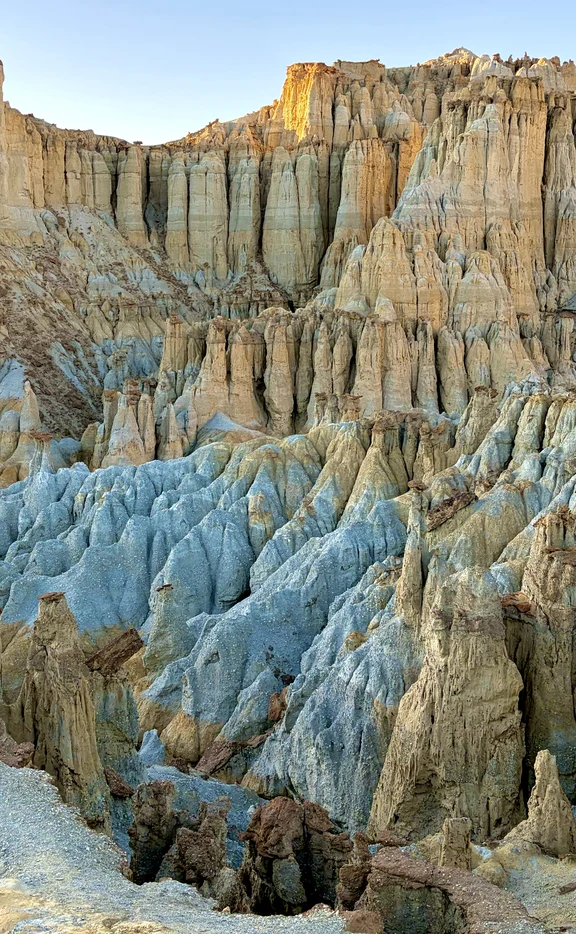 Foresta di terra di Zanda