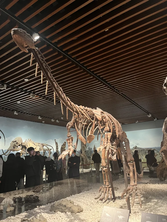 Museo de Nankín