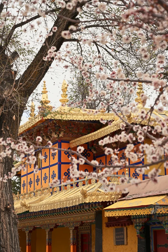 Norbulingka