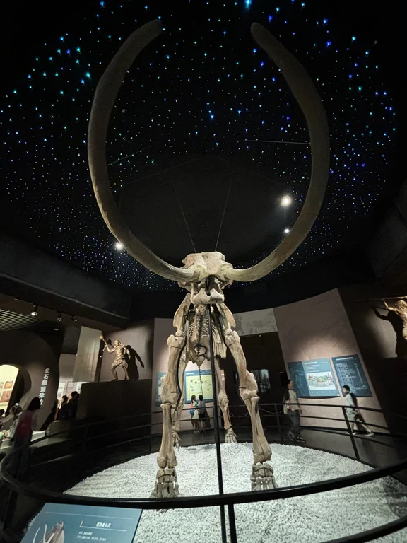 Muzium Hailar