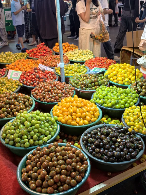 شارع موجيا