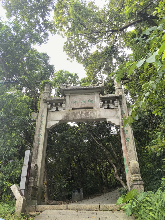 梧桐山