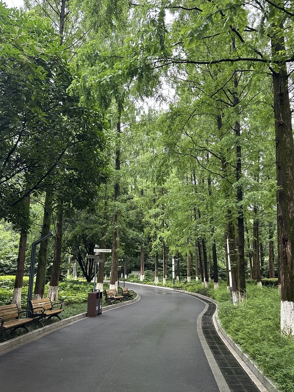 Promenade urbaine le long du Suzhou