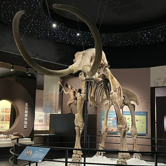 Muzium Hailar