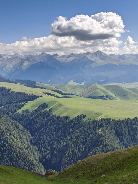 Prateria di Kalajun