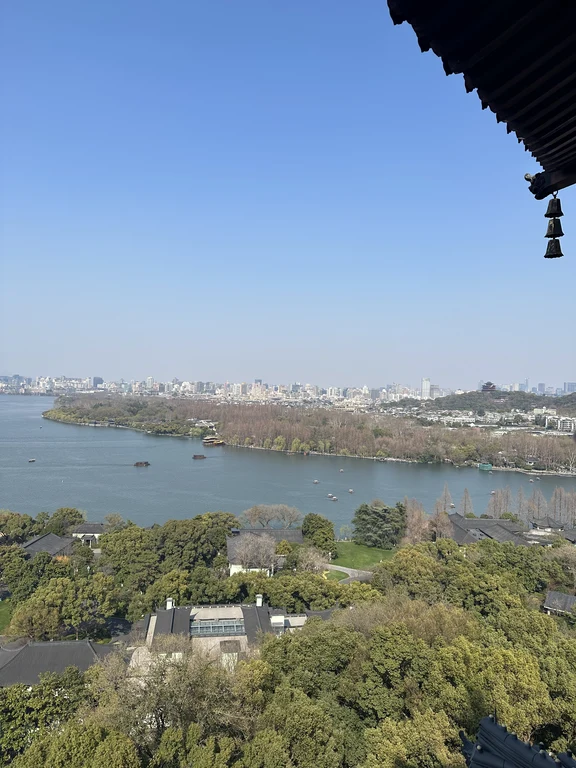 منطقة باغودا ليفنغ